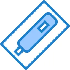 Pregnancy test