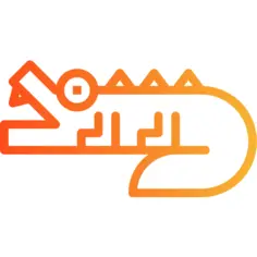 Crocodile
