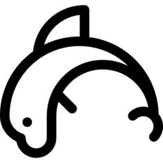 Dolphin