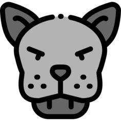 Panther