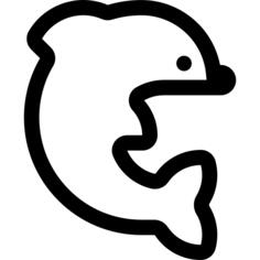 Dolphin