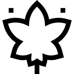 Maple leaf