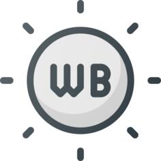 White balance