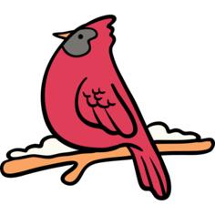 Robin