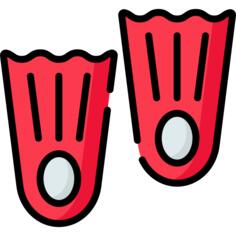 向上
