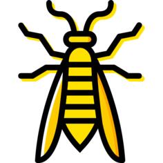 Wasp
