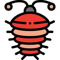 Arthropod