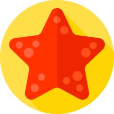 海星
