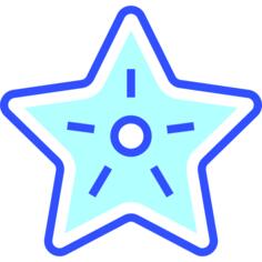 海星