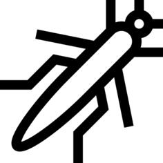 Grasshopper