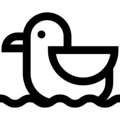 Seagull