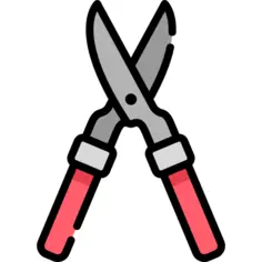 Shears