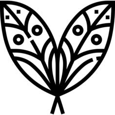 羽毛