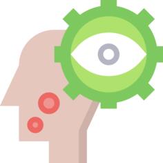 Vision