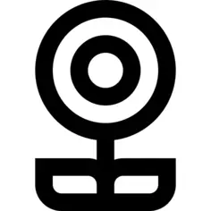 绣球