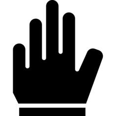 Glove