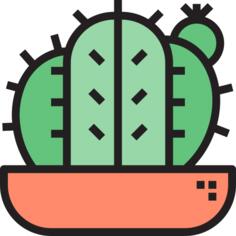 Cactus
