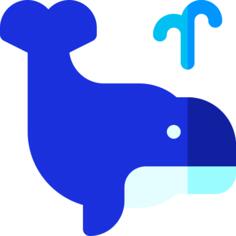 Whale