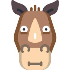 Rhinoceros