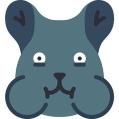 Hamster