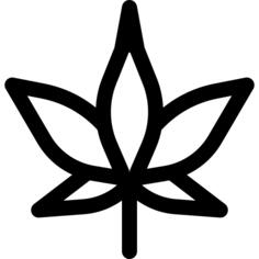 枫