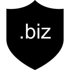 Biz