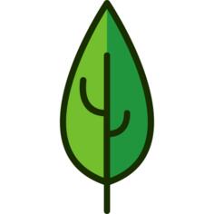Leaf