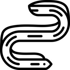 鳗鱼