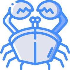 Crab
