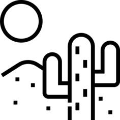Cactus