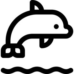 海豚