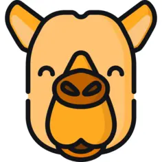 Camel