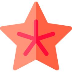 海星