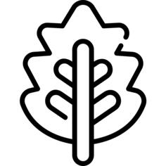 Leaf