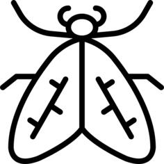Moth