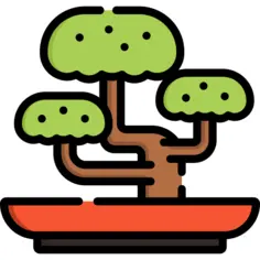 Bonsai
