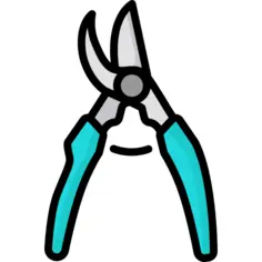 Scissors