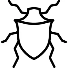甲虫