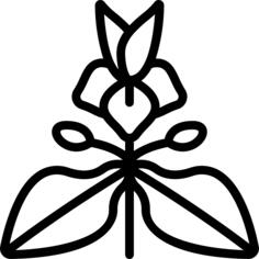 Spurge