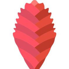 Bromeliaceae