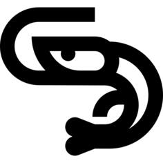 虾