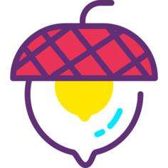 Acorn