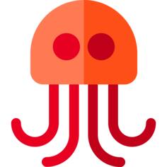 Jellyfish