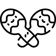 Maracas