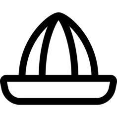 Juicer