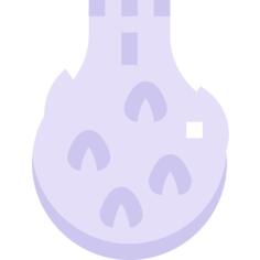 火龙果