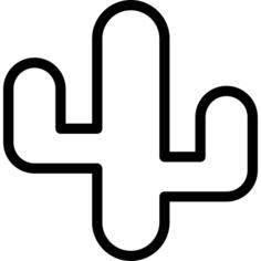 仙人掌