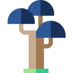 树