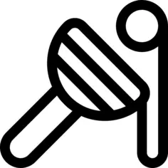 Toy