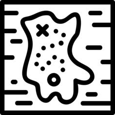 Treasure map